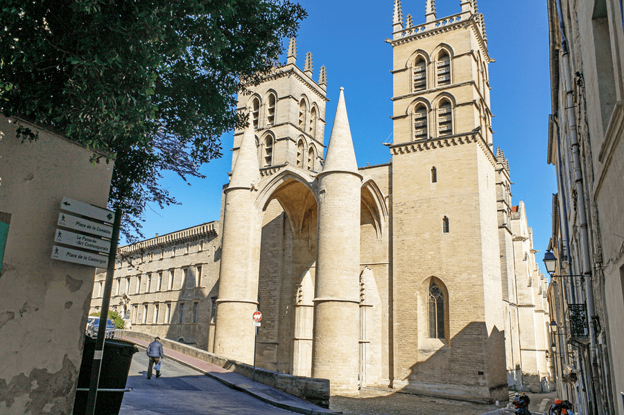 cathedrale saint pierre montpellier belle photo
